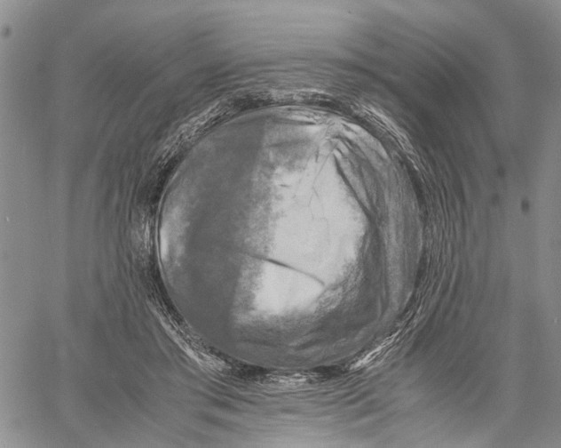 X0000060570405200512011712
