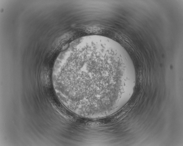 X0000060570408200512011712