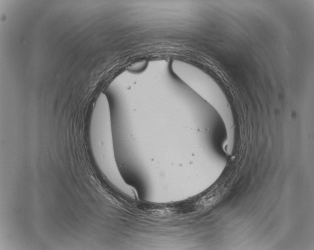 X0000060570411200512011712