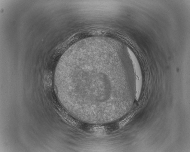 X0000060570413200512011712