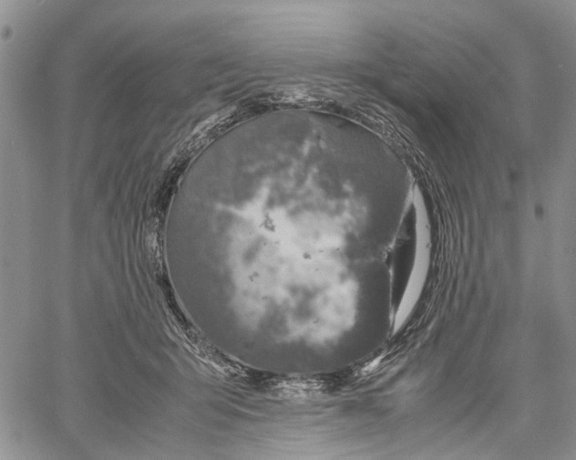 X0000060570415200512011712