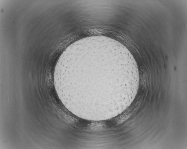 X0000060570418200512011712