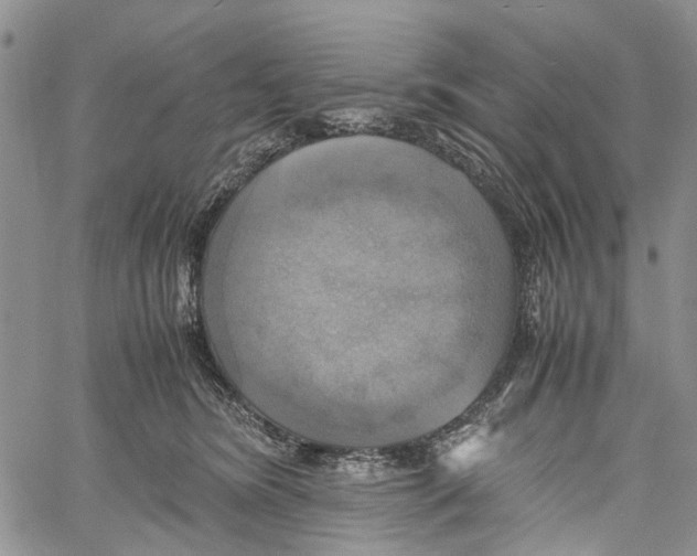 X0000060570420200512011712