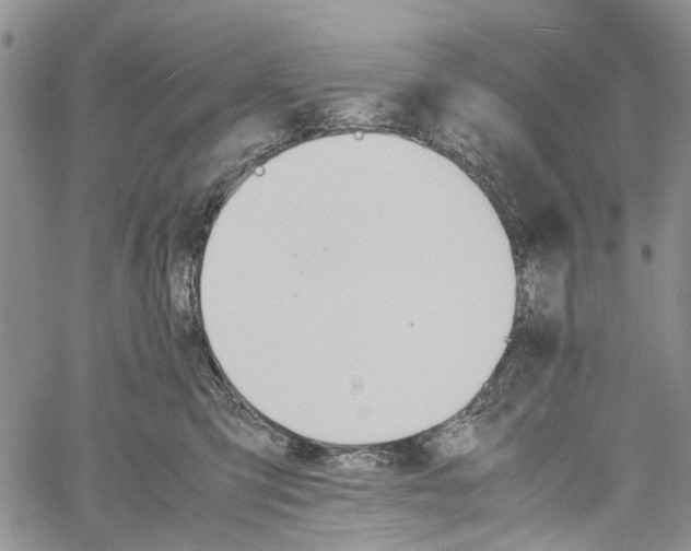 X0000060570423200512011712