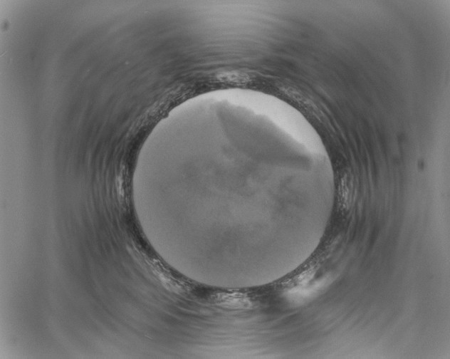 X0000060570424200512011712