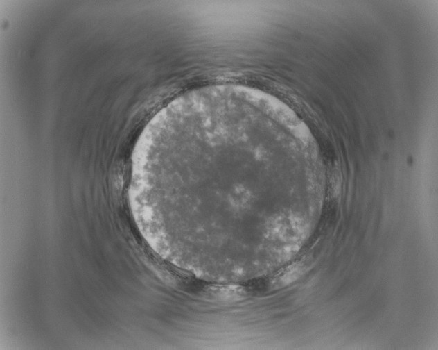 X0000060570427200512011712