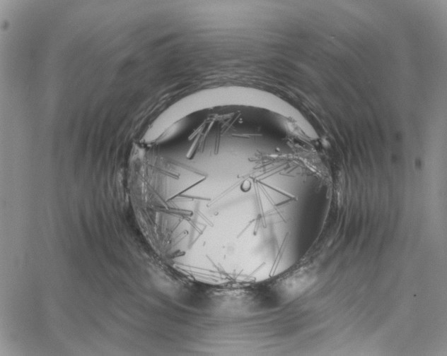 X0000060570428200512011712