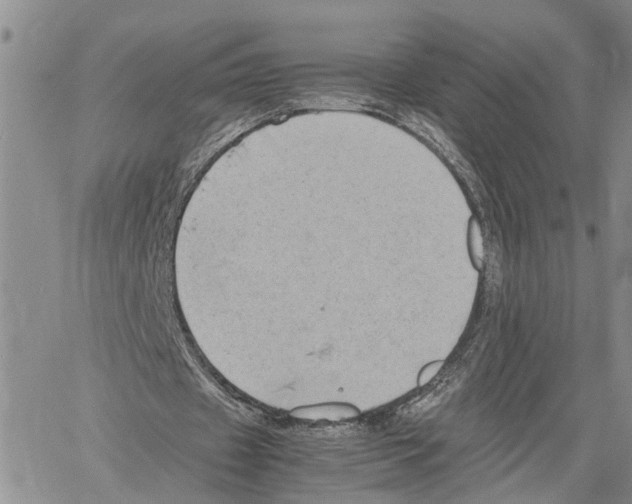 X0000060570433200512011711
