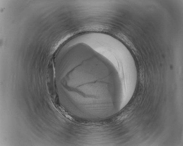 X0000060570434200512011711