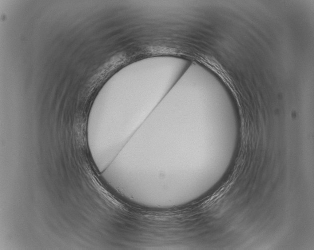 X0000060570441200512011711