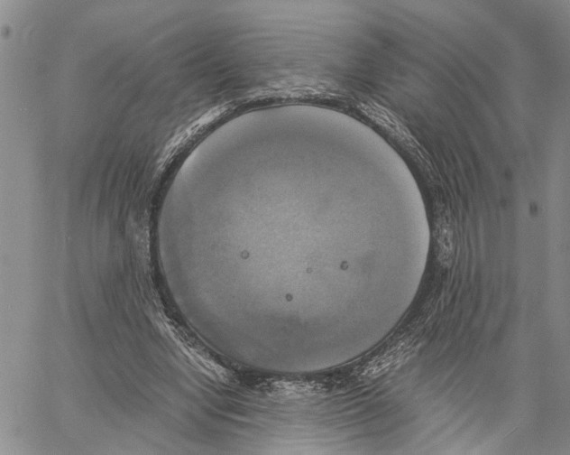 X0000060570442200512011711