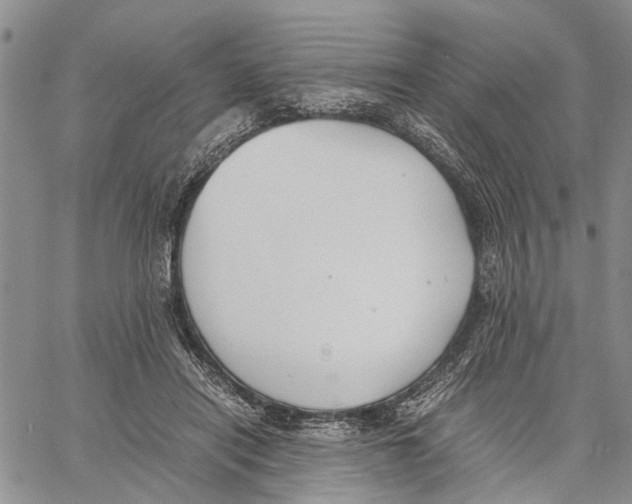 X0000060570454200512011712