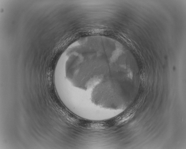 X0000060570462200512011712