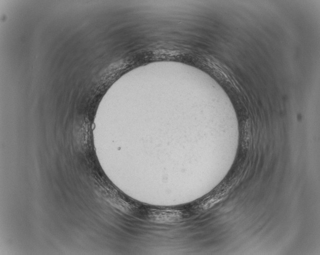 X0000060570463200512011712