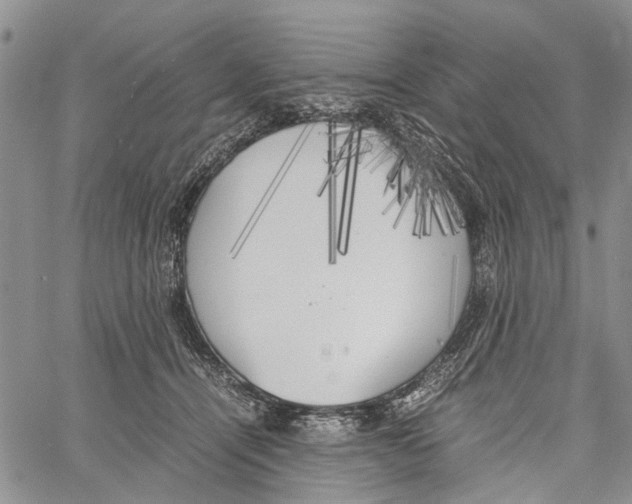 X0000060570464200512011712
