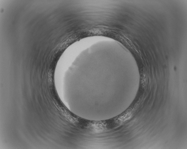 X0000060570466200512011712