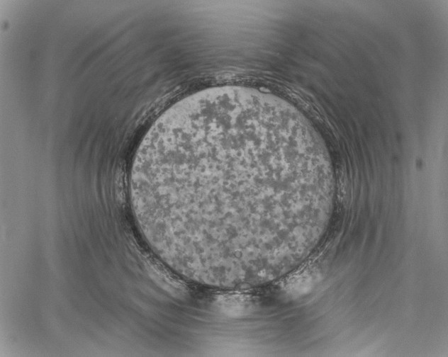 X0000060570470200512011712