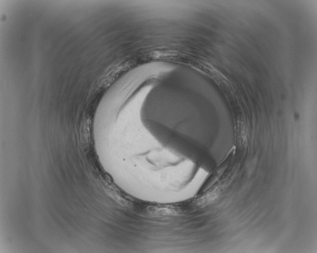 X0000060570475200512011712