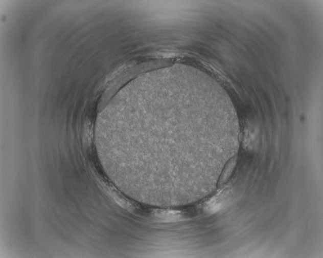 X0000060570476200512011712