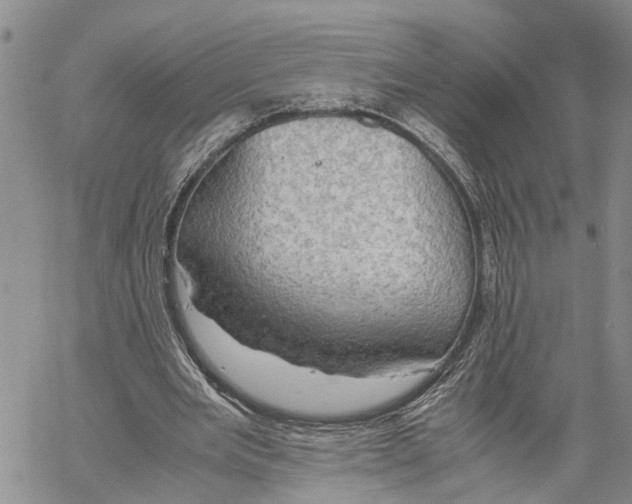X0000060570485200512011711