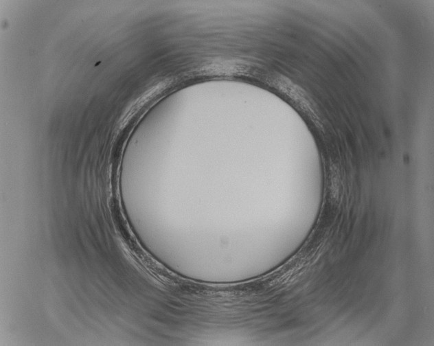 X0000060570486200512011711