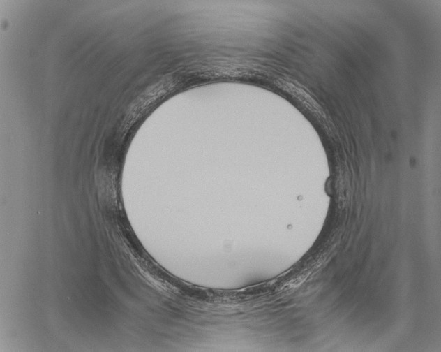 X0000060570489200512011711