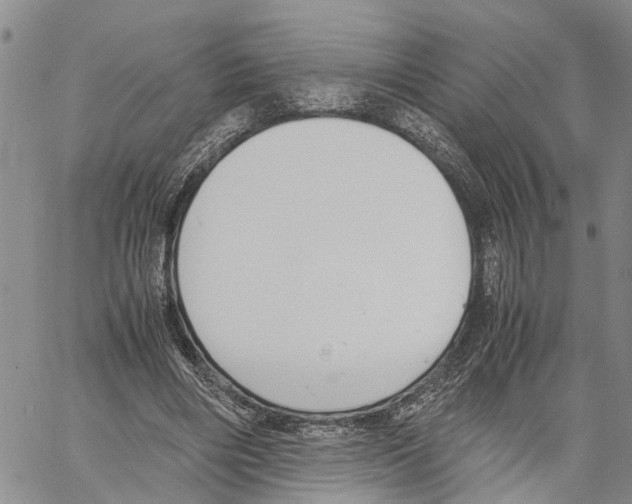 X0000060570490200512011711