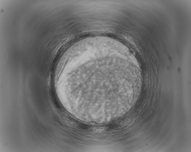 X0000060570495200512011711