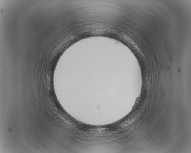 X0000060570497200512011711