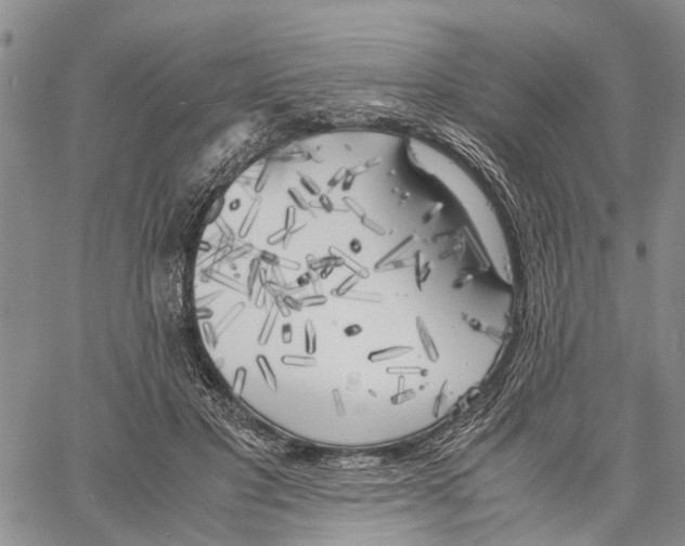 X0000060570501200512011711