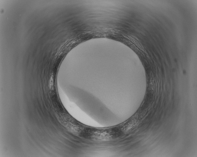 X0000060570502200512011711