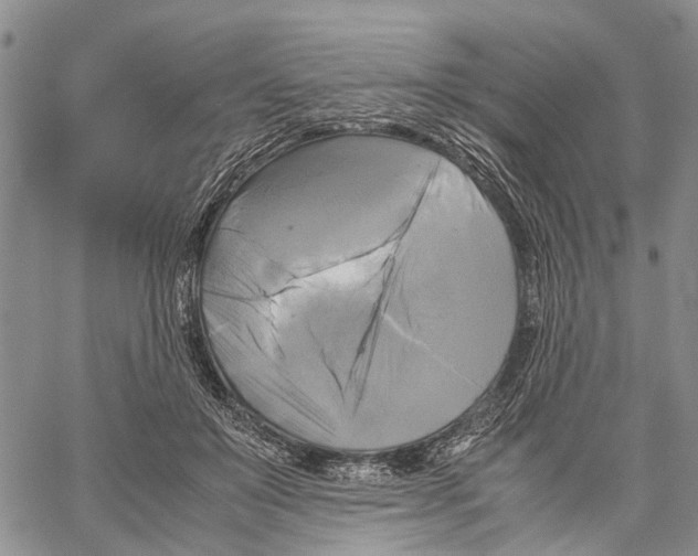 X0000060570503200512011711