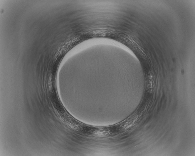 X0000060570504200512011711