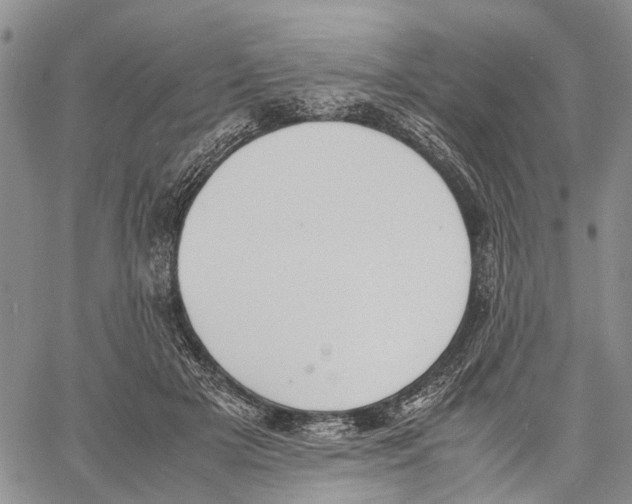 X0000060570505200512011711