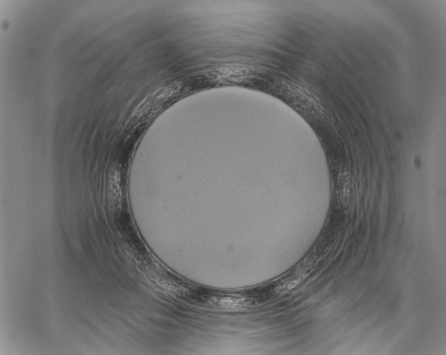 X0000060570506200512011711