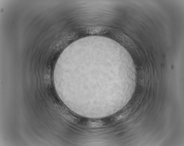 X0000060570510200512011711