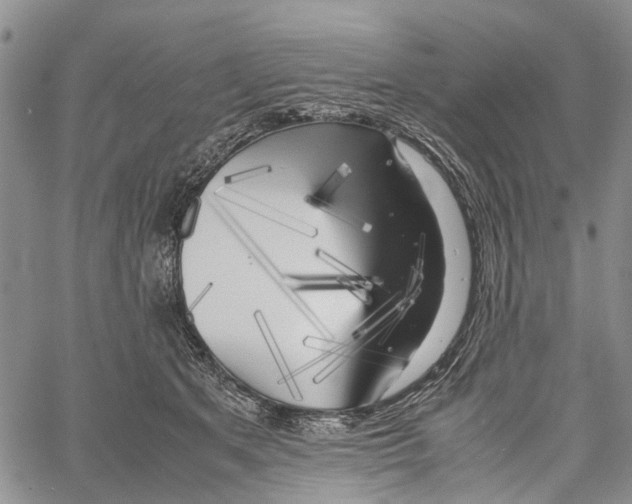 X0000060570513200512011711
