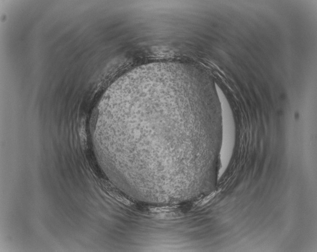 X0000060570516200512011711