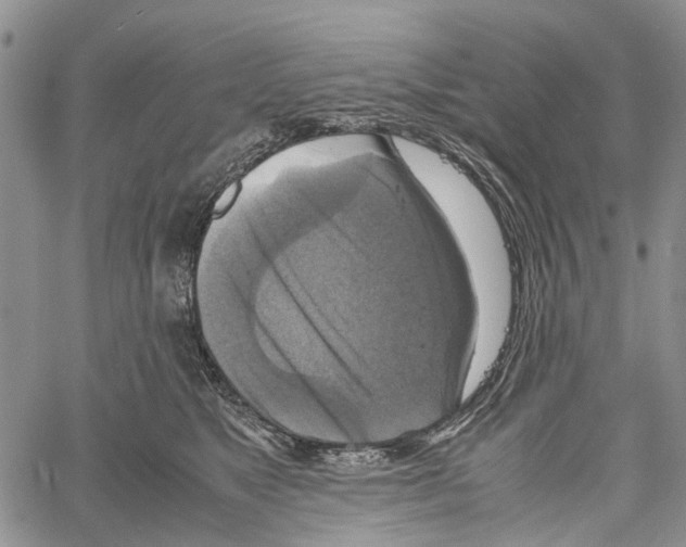 X0000060570517200512011711