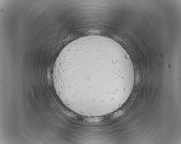 X0000060570518200512011711