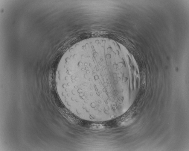 X0000060570519200512011711
