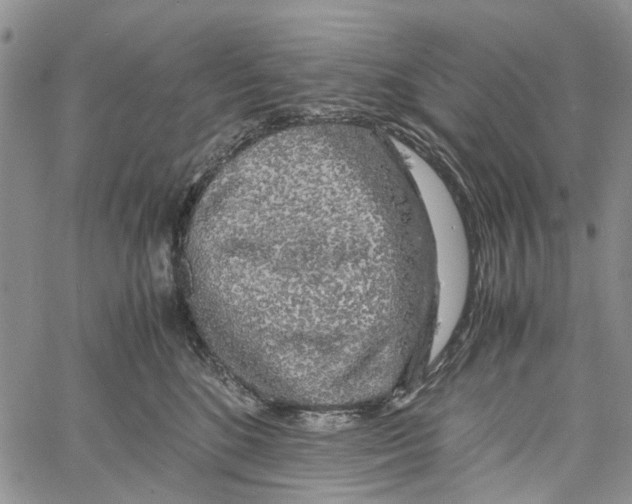 X0000060570520200512011711