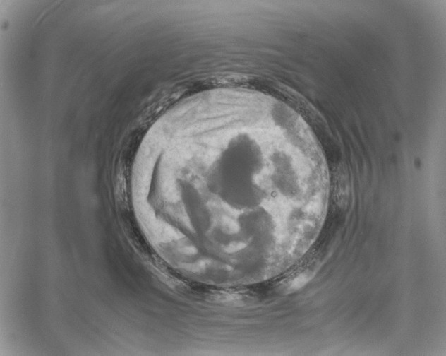 X0000060570523200512011710