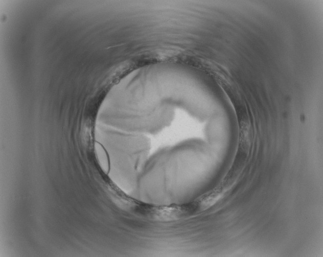 X0000060570527200512011710