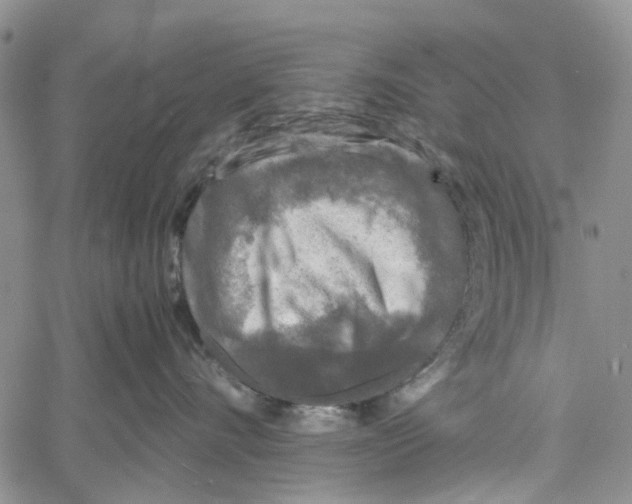 X0000060570528200512011710