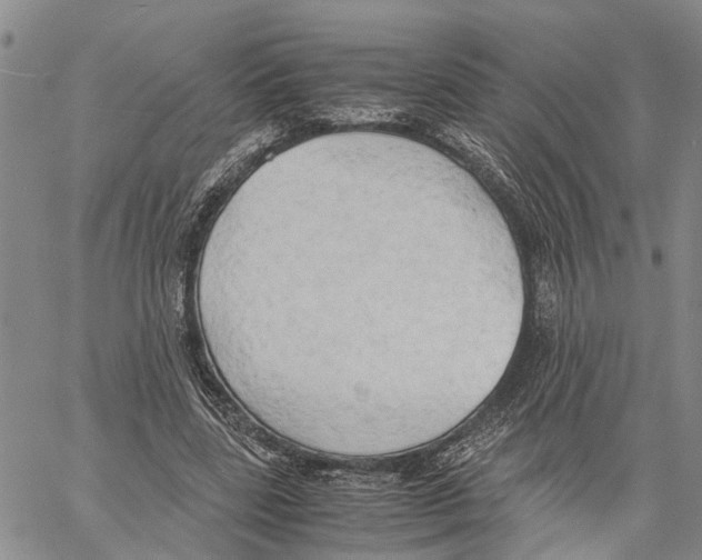 X0000060570539200512011710