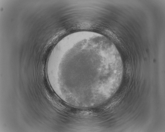 X0000060570542200512011710