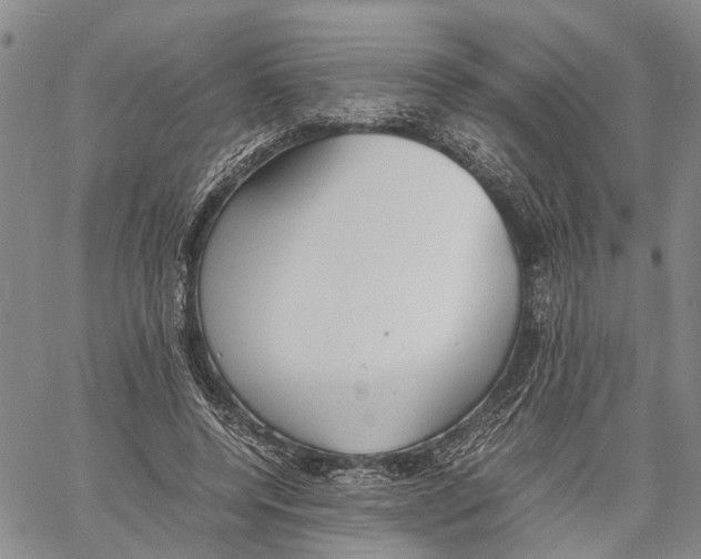 X0000060570544200512011710