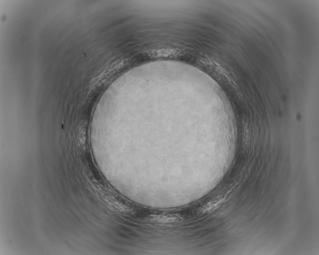 X0000060570545200512011710