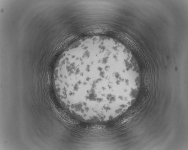 X0000060570546200512011710